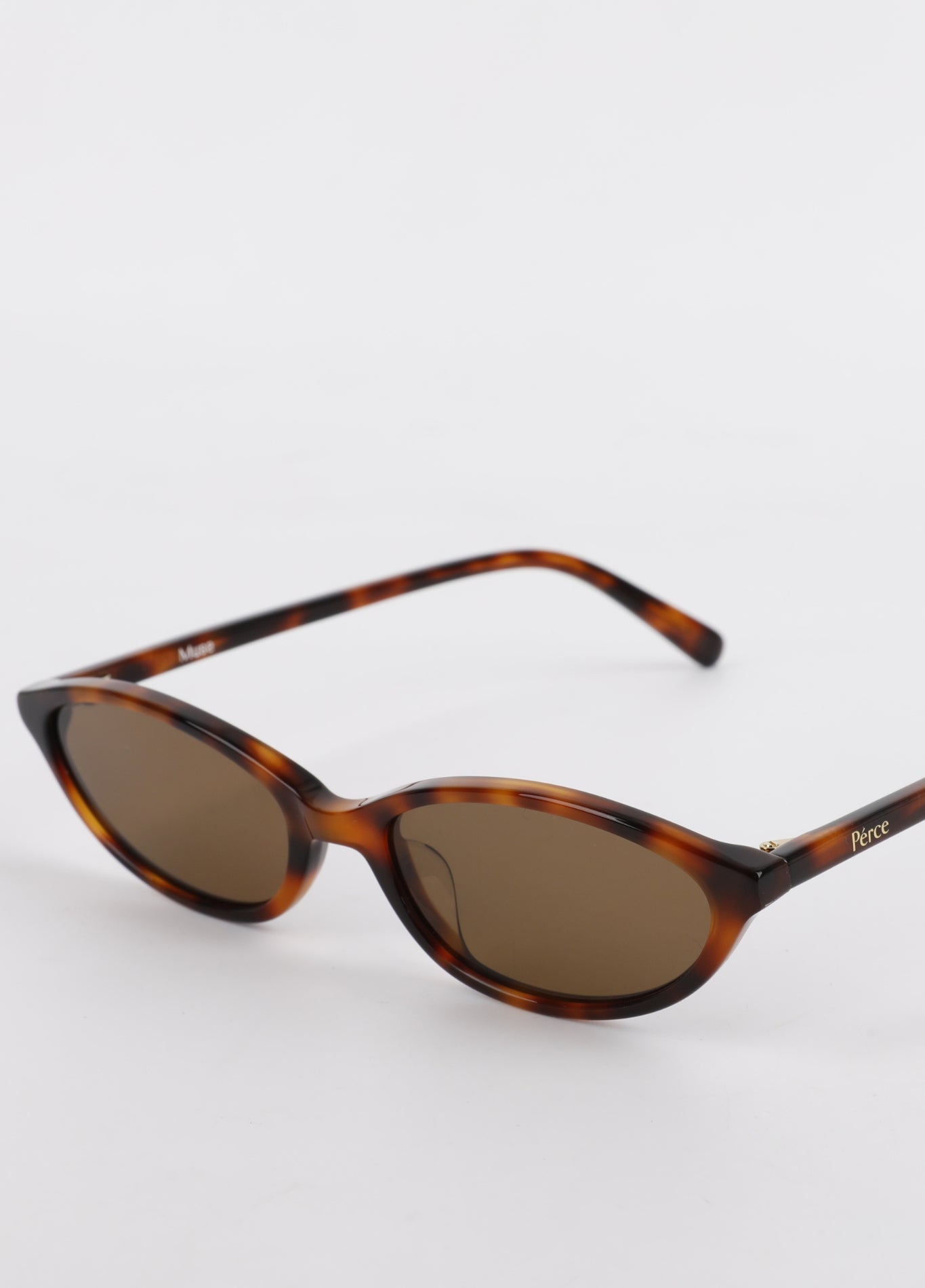 Tortoise Polarised