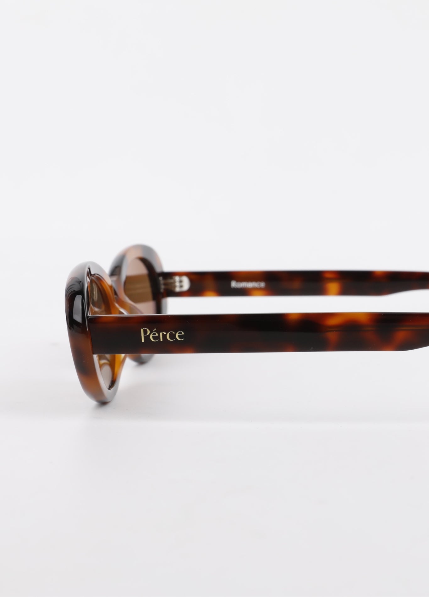 Tortoise Polarised